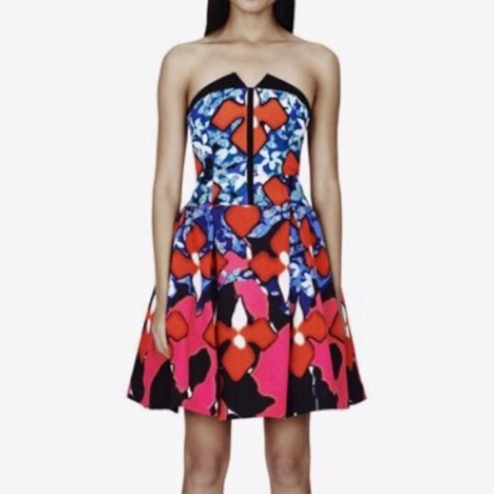 NWT Peter Pilotto dress